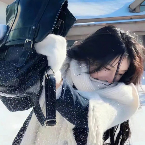飞龙引凤
